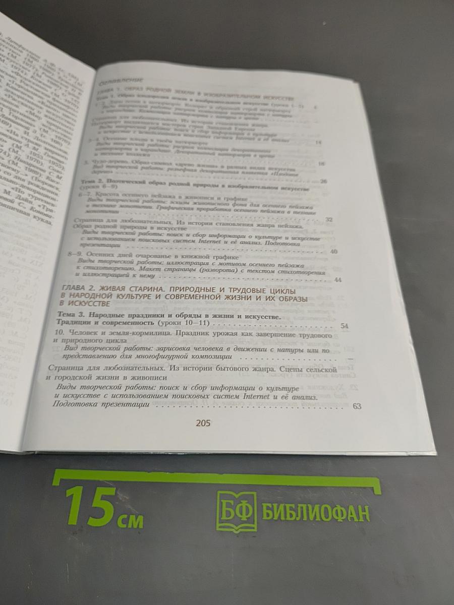 Изобразительное искусство 5 класс