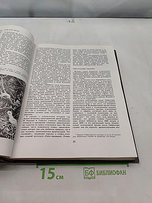 Европа