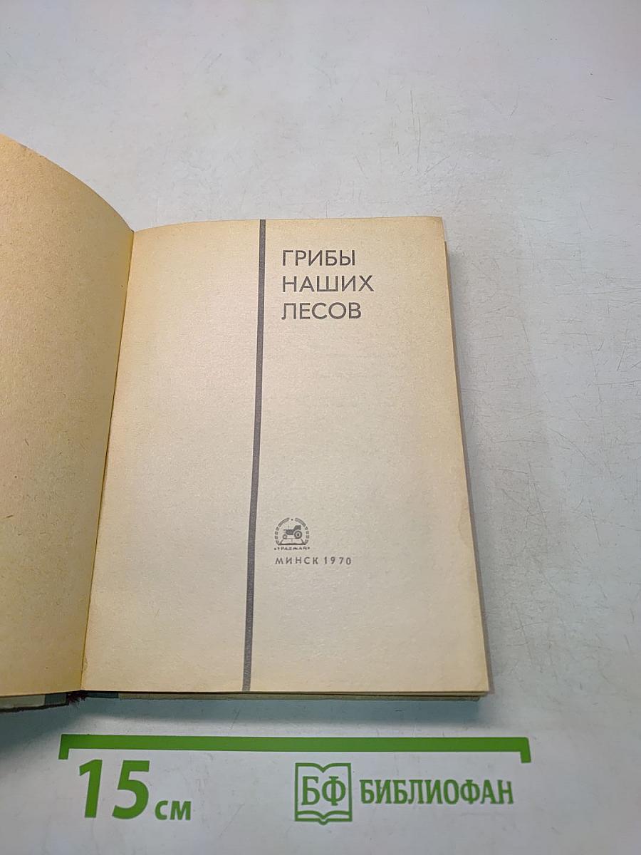 Грибы наших лесов