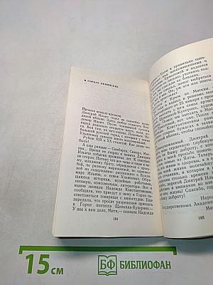 Младший брат