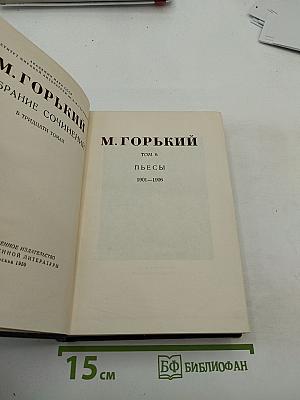 Собрание сочинений в тридцати томах. Том 6. Пьесы 1901-1906
