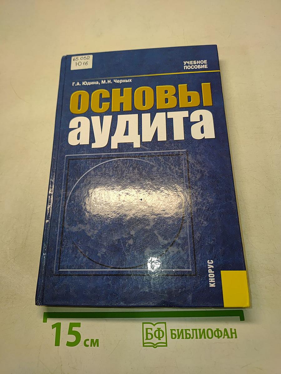 Основы аудита