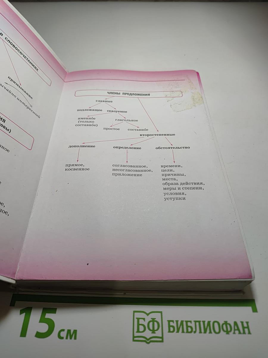 Русский язык 8 класс