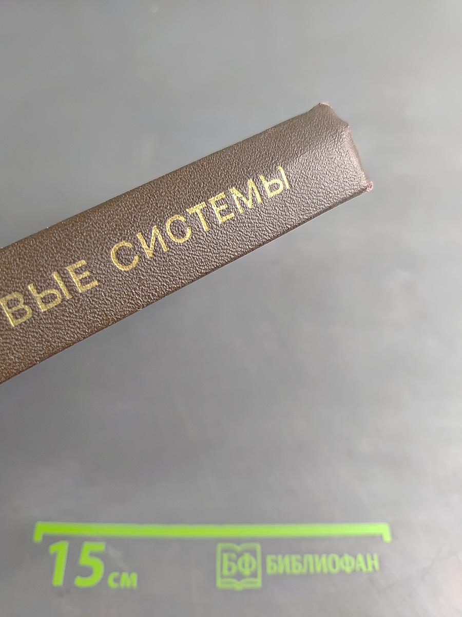 Числовые системы: Основания алгебры и анализа