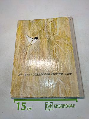 Арктур — гончий пёс