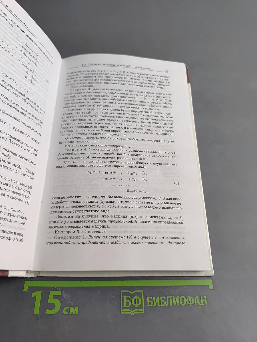Введение в алгебру. Часть 1. Основы алгебры