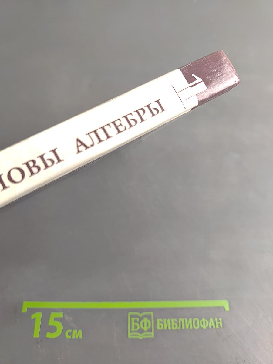 Введение в алгебру. Часть 1. Основы алгебры