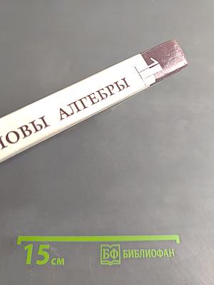 Введение в алгебру. Часть 1. Основы алгебры