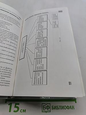 Информационная безопасность