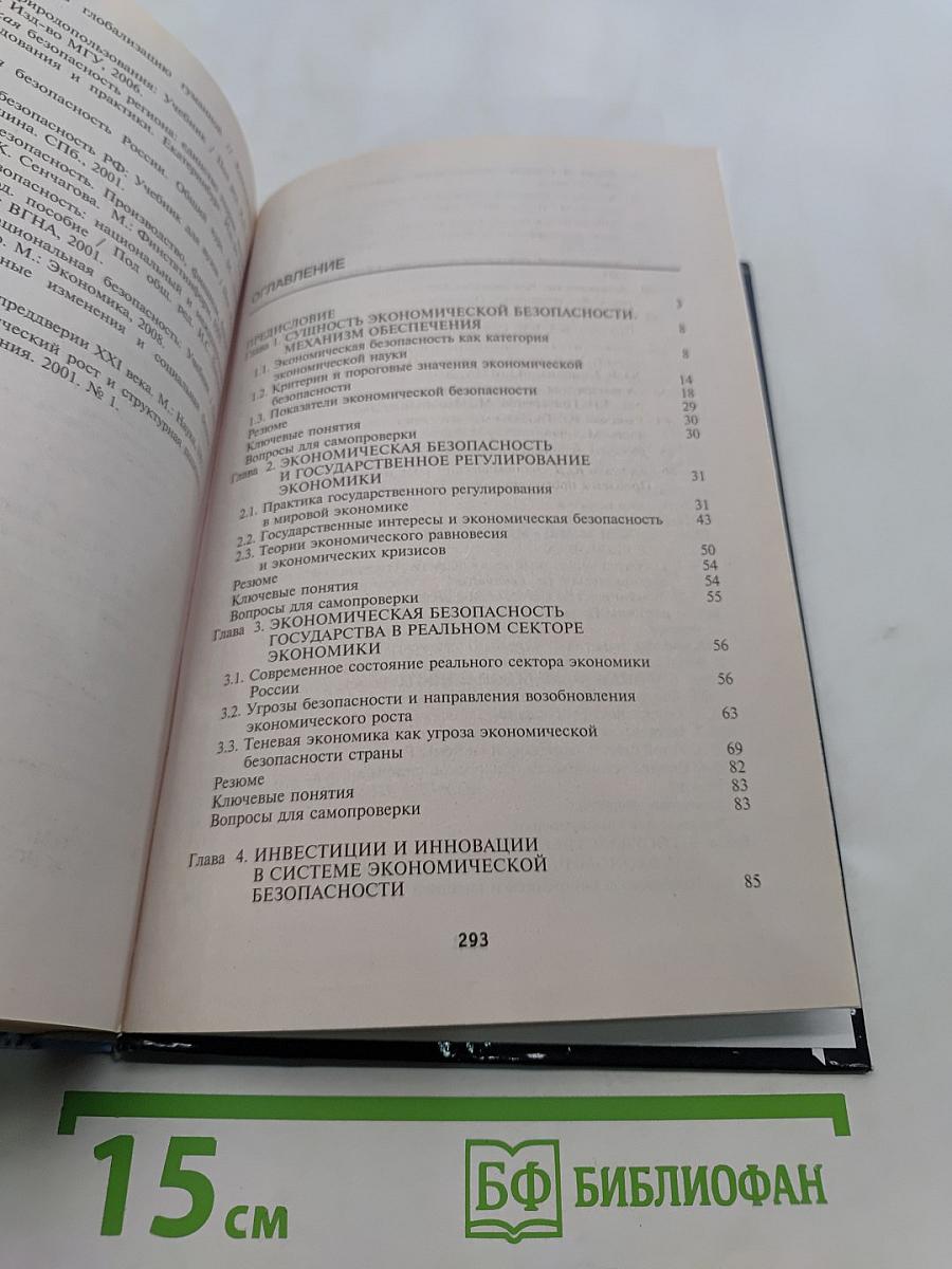 Экономическая безопасность
