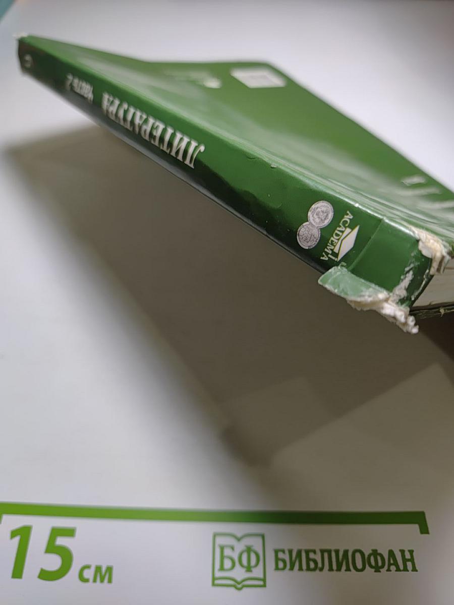 Литература. Учебник для 6 класса. Часть 2