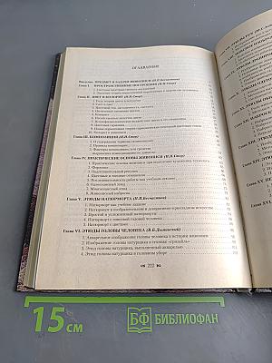 Живопись