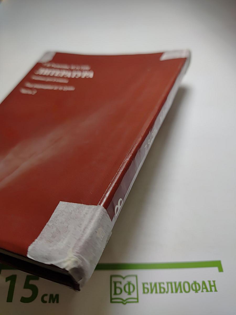 Литература. Учебник для 8 класса. Часть 2