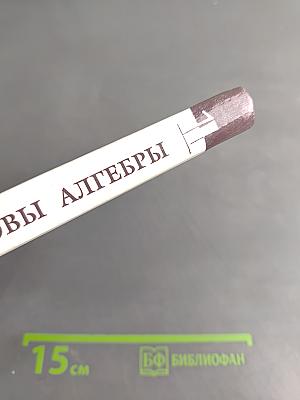 Введение в алгебру. Часть I. Основы алгебры