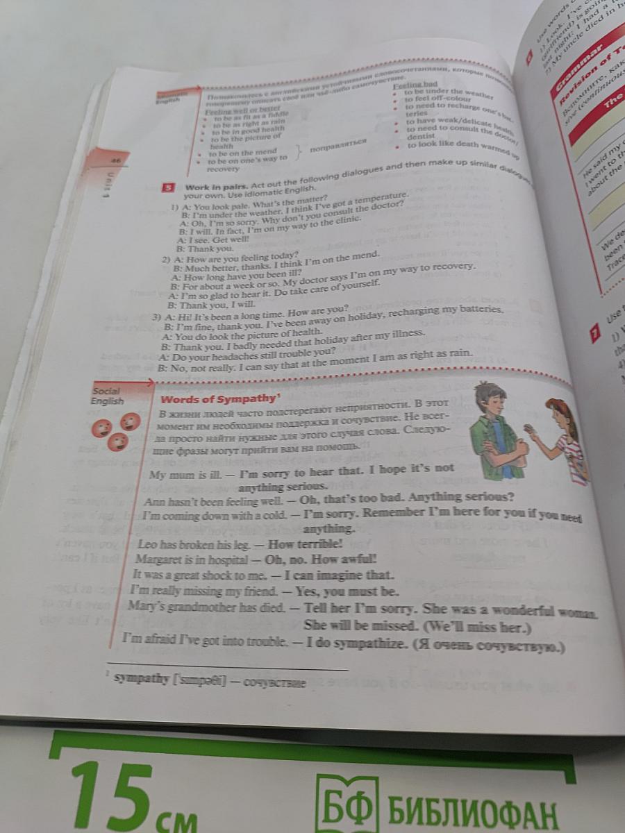 Английский язык. 10 класс. Базовый уровень. Учебник. Rainbow English