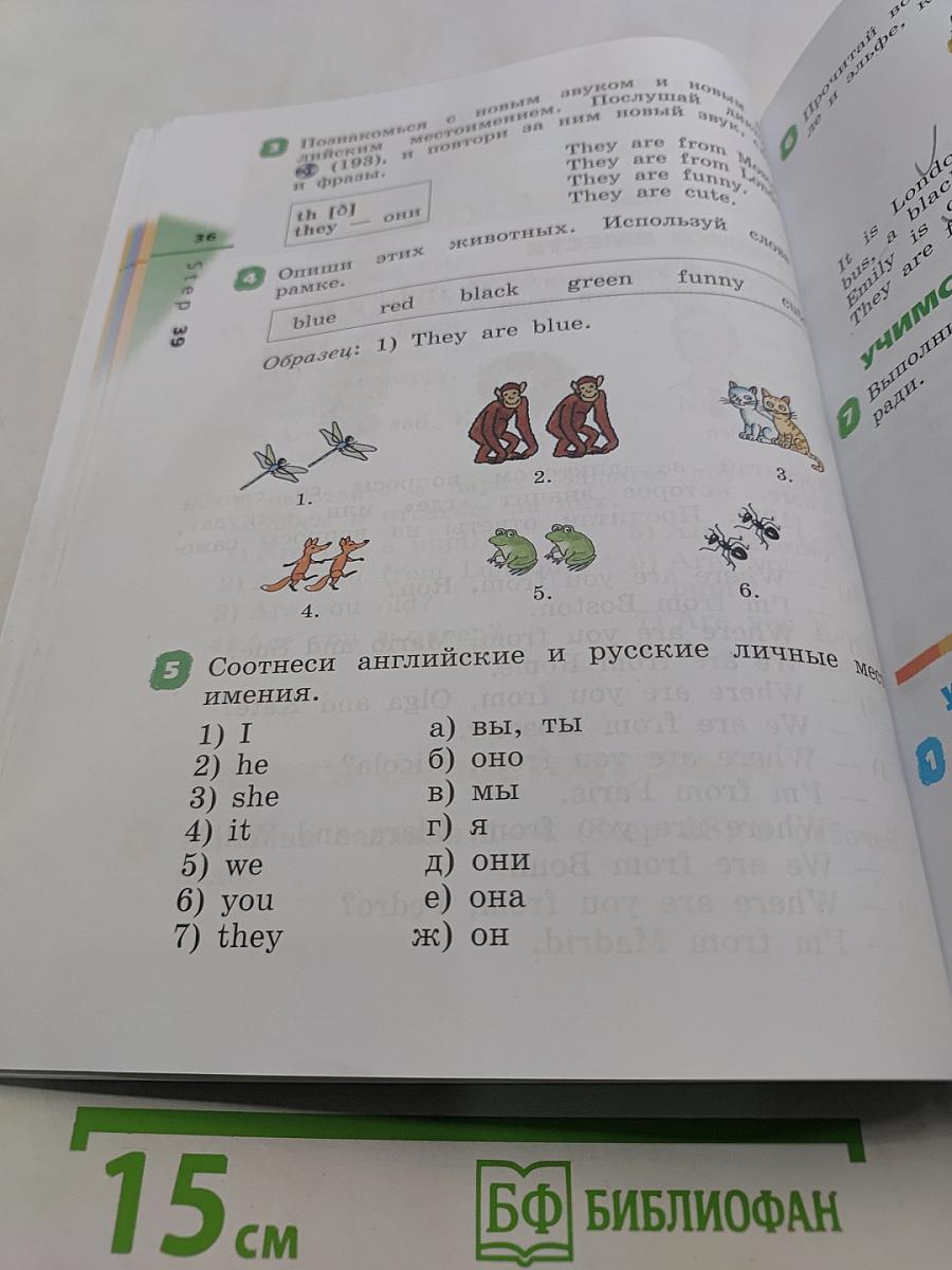Rainbow English. Английский язык. Учебник. 2 класс. Часть 2