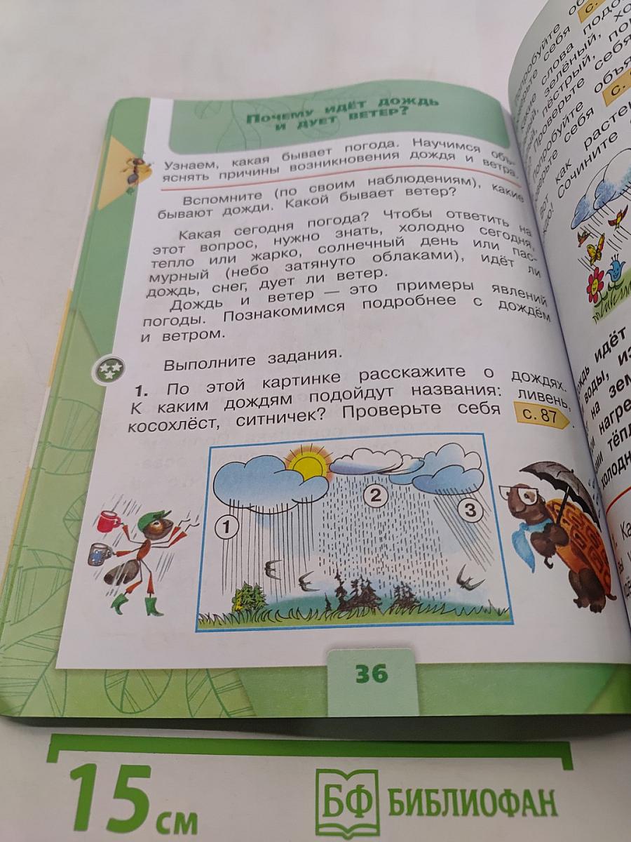 Окружающий мир. Учебник. Часть 2. 1 класс