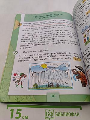 Окружающий мир. Учебник. Часть 2. 1 класс