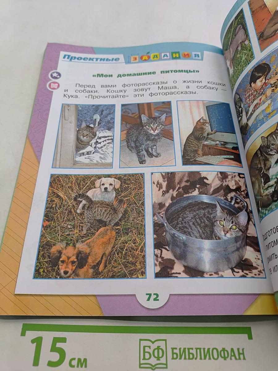 Окружающий мир. Учебник. Часть 2. 1 класс