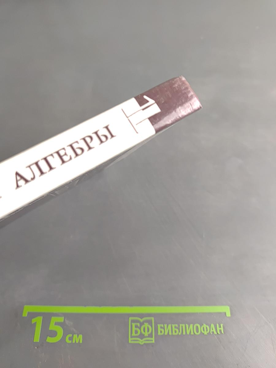 Введение в алгебру. Часть 1. Основы алгебры