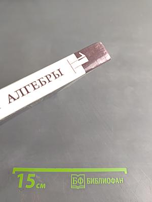 Введение в алгебру. Часть 1. Основы алгебры