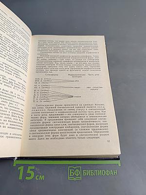 Русский язык. Учебник для педагогических институтов. Часть II