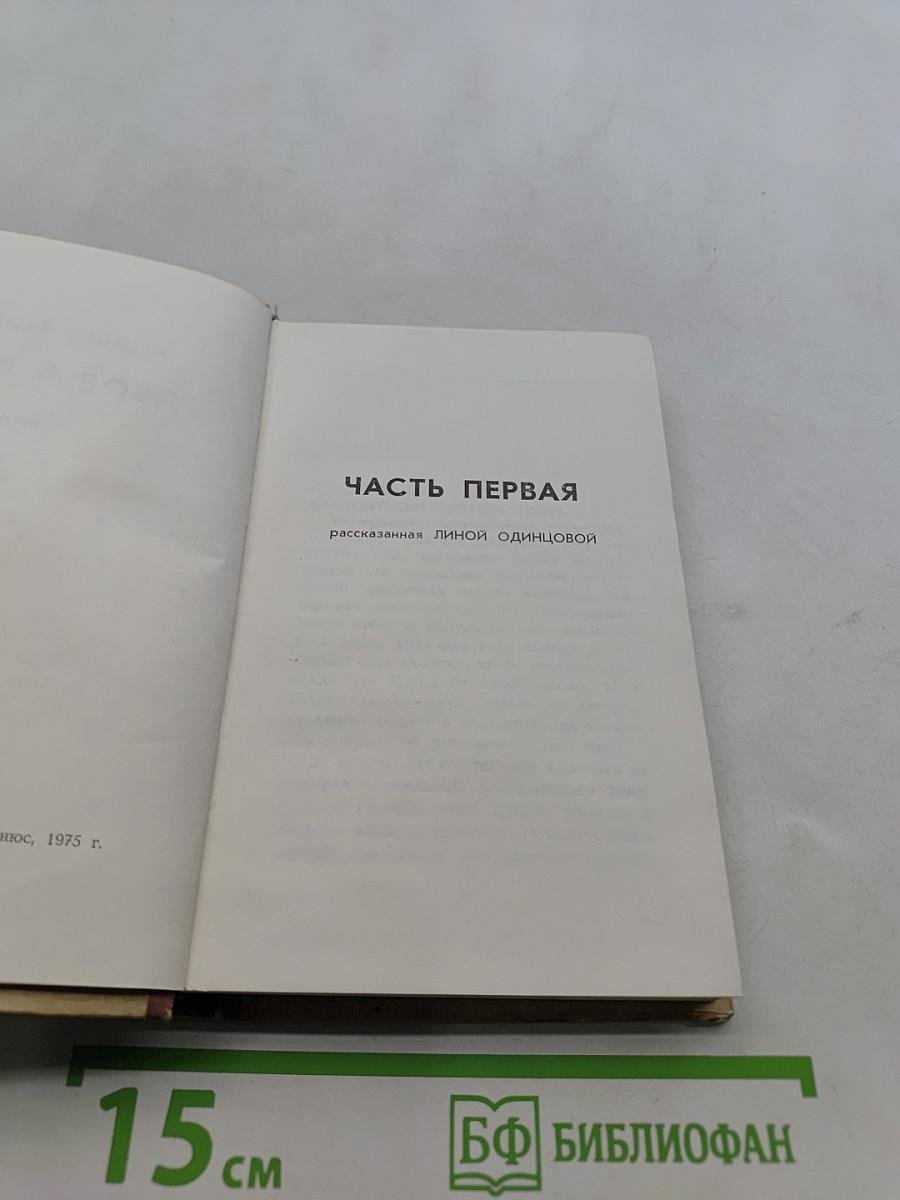 Двое в пути