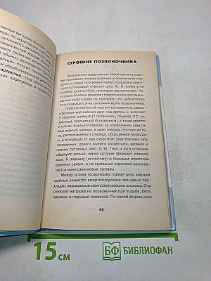 Здоровые суставы и позвоночник за 5 минут