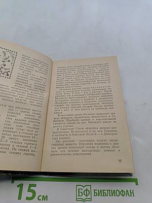 Сокровища южного края