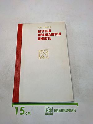 Братья сражаются вместе