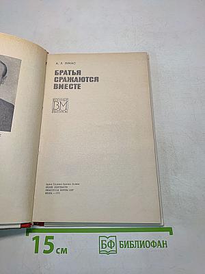 Братья сражаются вместе