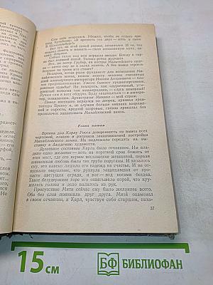 Михайловский замок. Одеты камнем