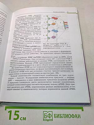 Биология. Общая биология. 10-11 классы