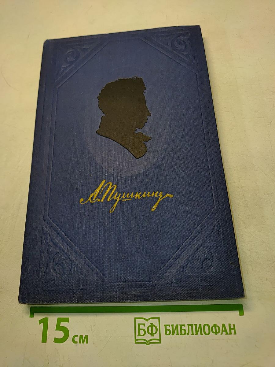 Полное собрание сочинений. Том 9. Письма (1831-1837)