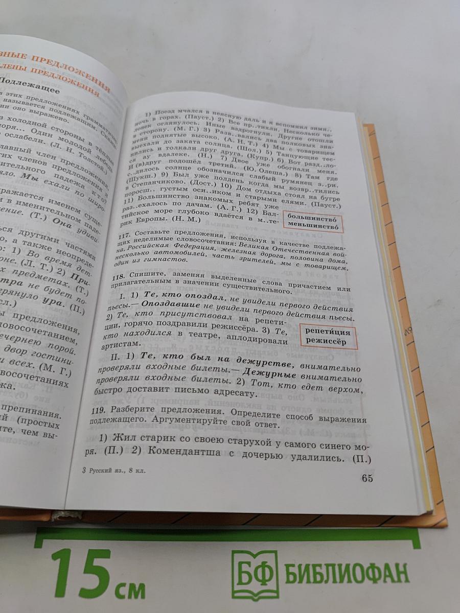 Русский язык. 8 класс