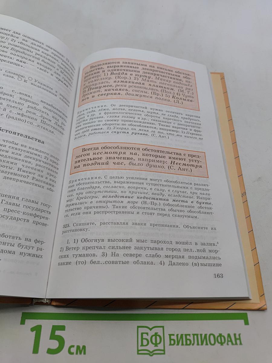 Русский язык. 8 класс