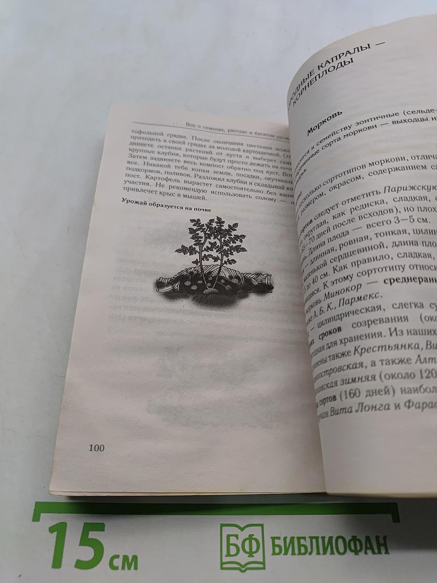 Рассада и семена. Всё, что нужно для богатого урожая