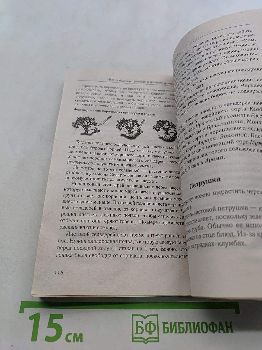 Рассада и семена. Всё, что нужно для богатого урожая