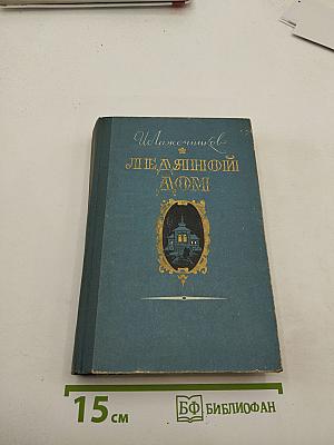 Ледяной дом