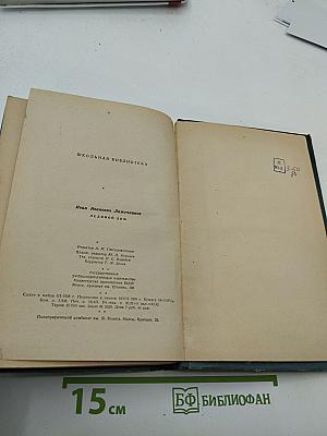 Ледяной дом