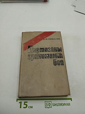 Партизаны принимают бой