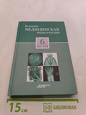 Большая медицинская энциклопедия. Том 6. Железо — Информатика