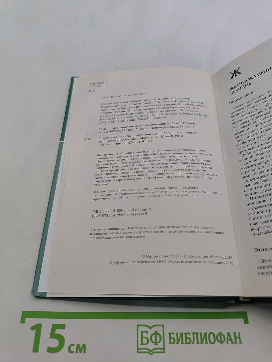 Большая медицинская энциклопедия. Том 6. Железо — Информатика