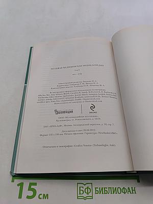 Большая медицинская энциклопедия. Том 6. Железо — Информатика