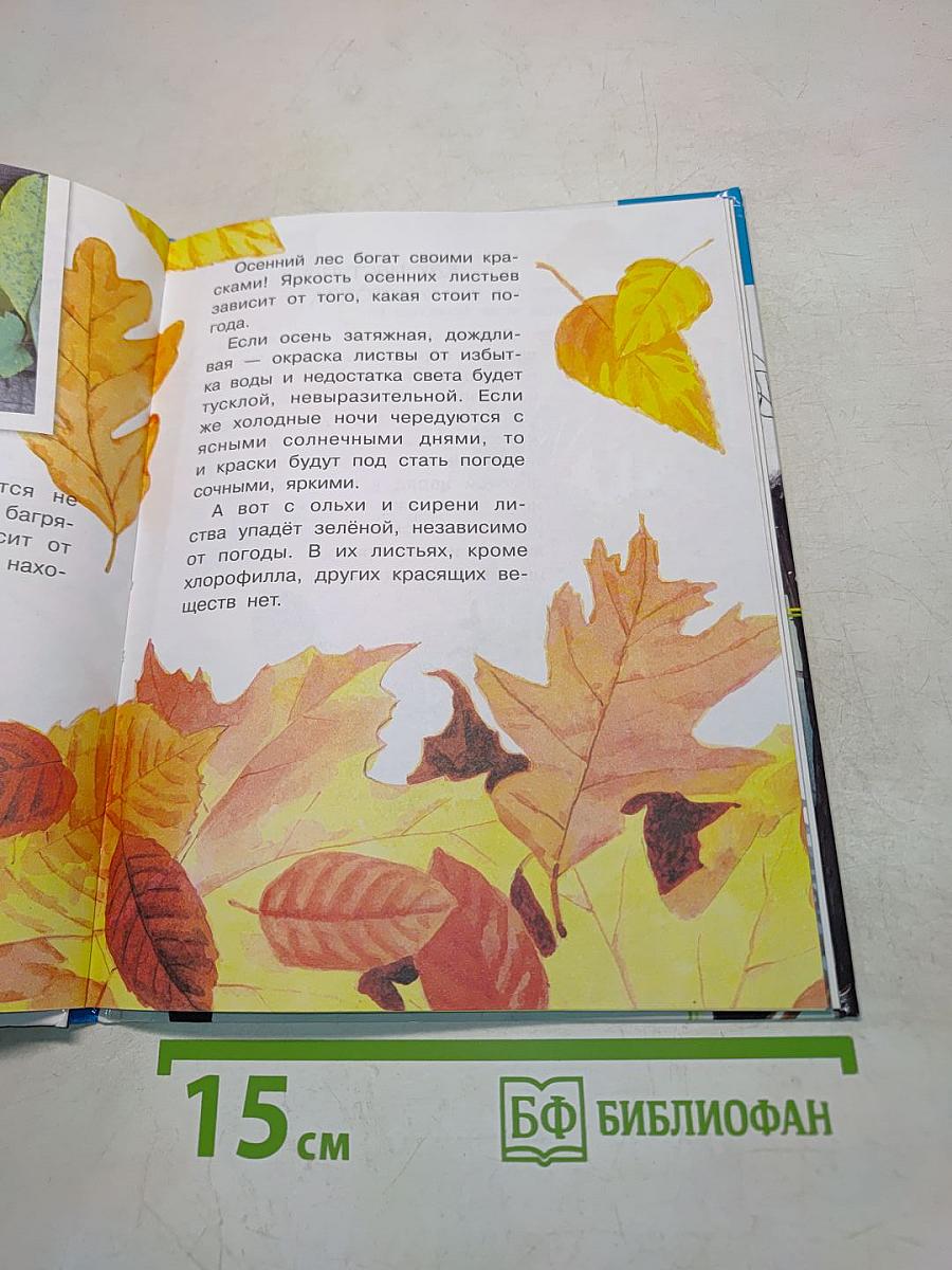 Почему осенью листопад?