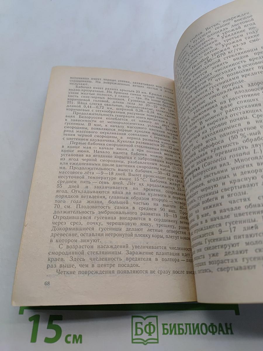 Как защитить сад от вредителей и болезней