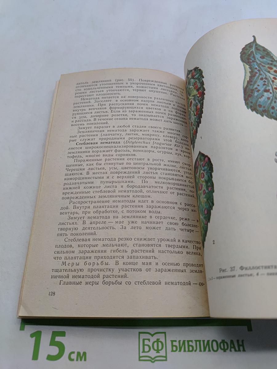Как защитить сад от вредителей и болезней