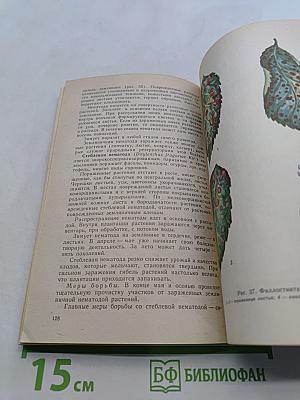 Как защитить сад от вредителей и болезней