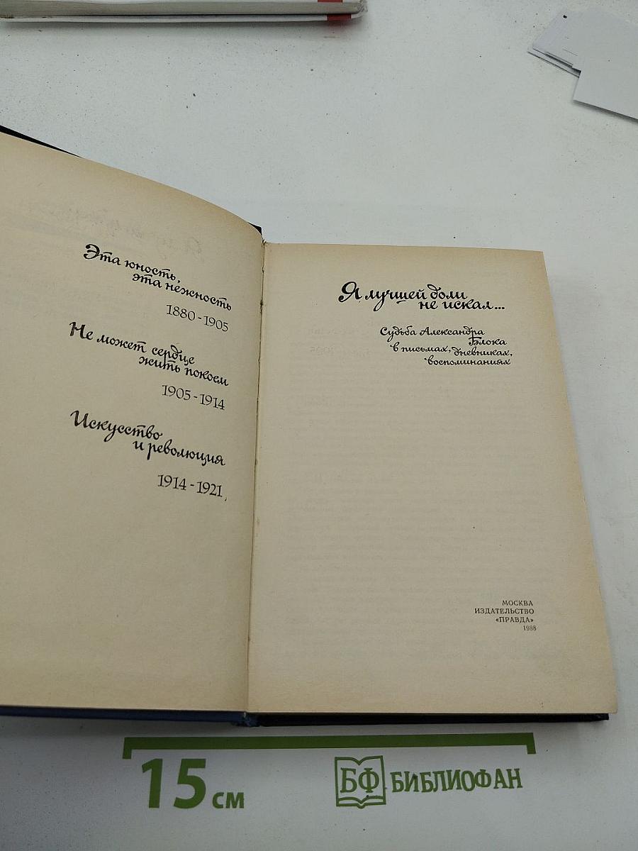 Я лучшей доли не искал... Судьба Александра Блока в письмах, дневниках, воспоминаниях
