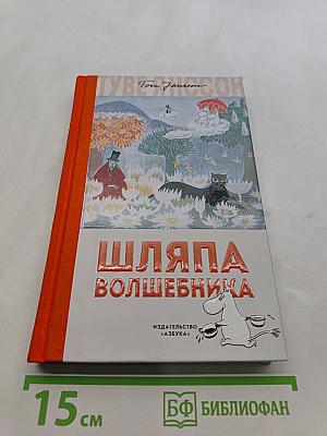 Шляпа волшебника